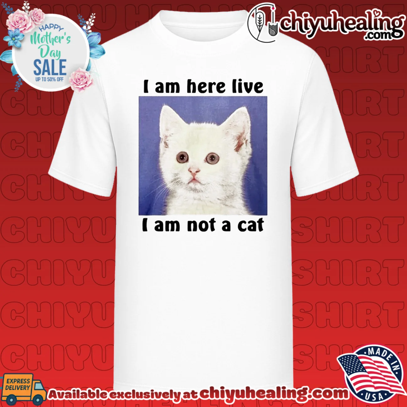 I am here live I Am Not A Cat