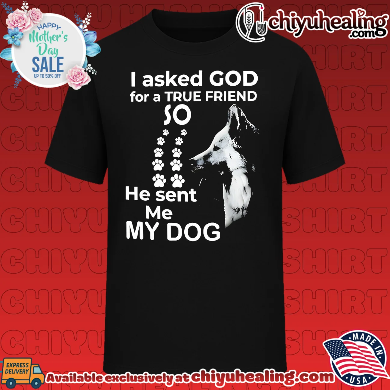 I asked God for a true friend so he sent me my dog