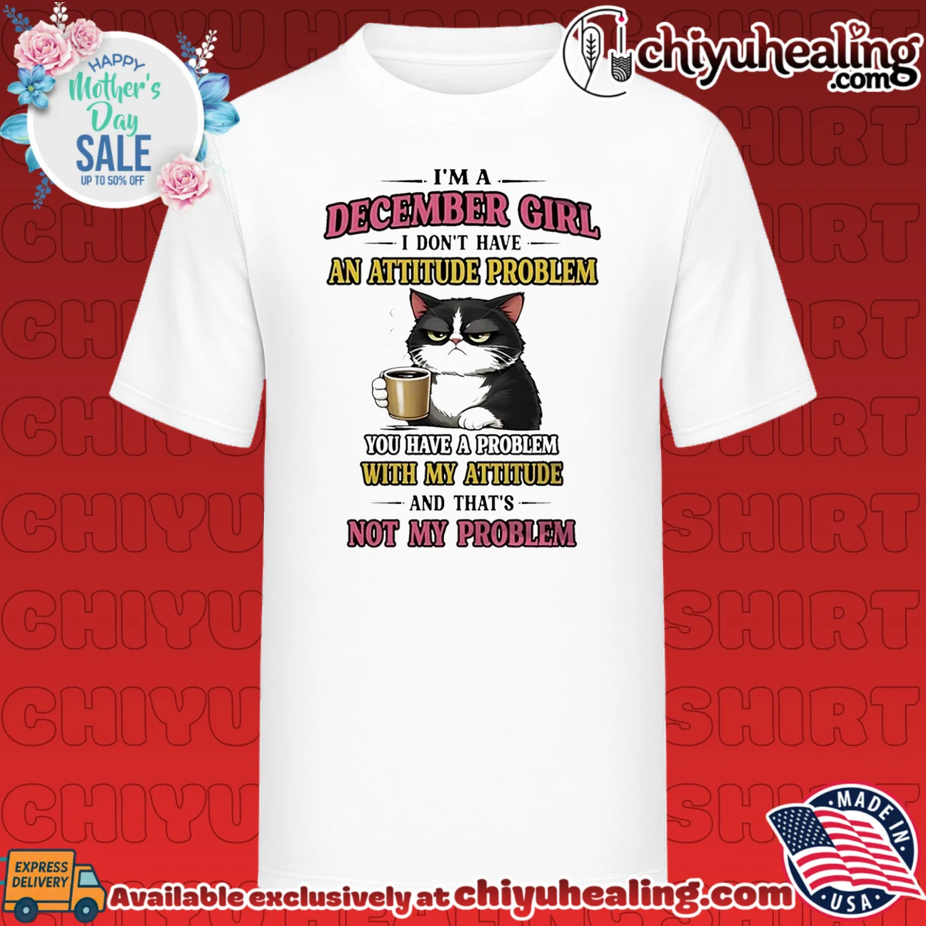 I'm a December girl I don't have an attitude problem you have a problem cartoon cat