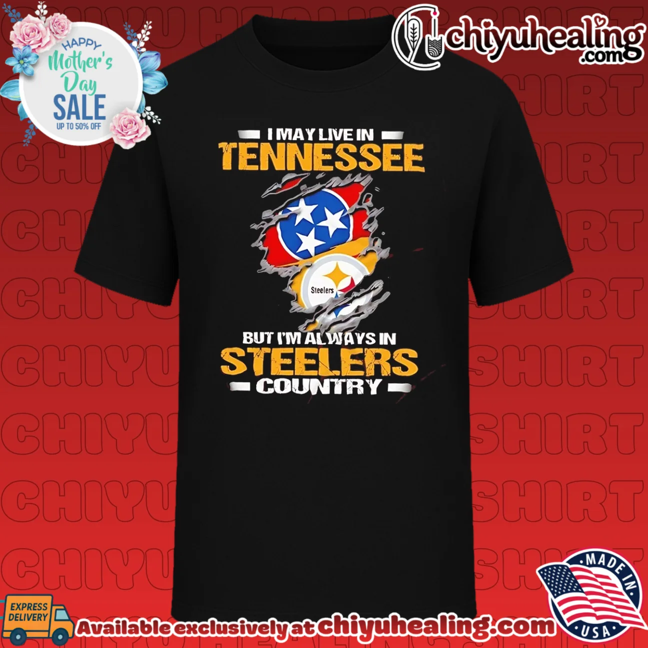 I may live in Tennessee but I'm always in Steelers country