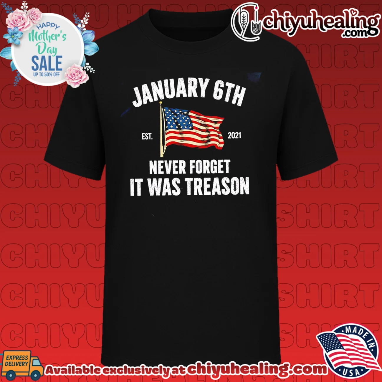 January 6th never forget it was treason American flag