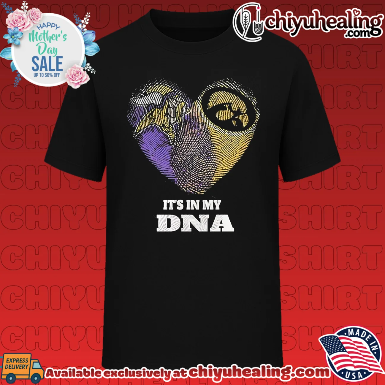 Minnesota Vikings and Iowa Hawkeyes it's in my DNA vintage