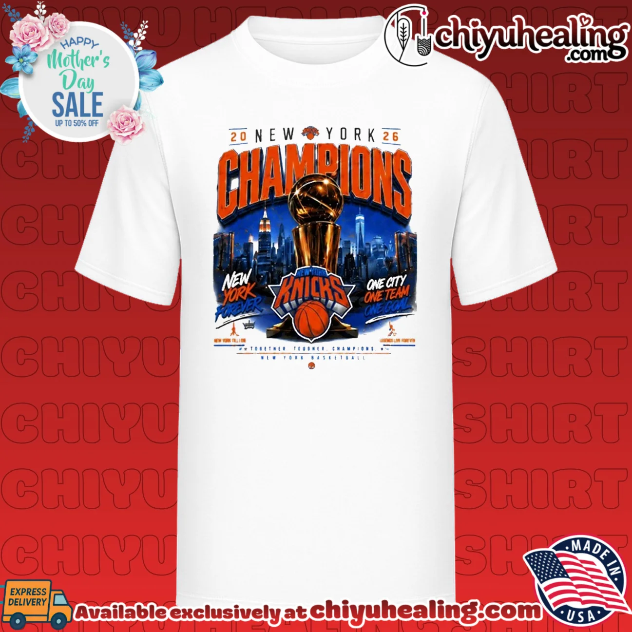 New York Basketball Champions 2026 one city one team one goal