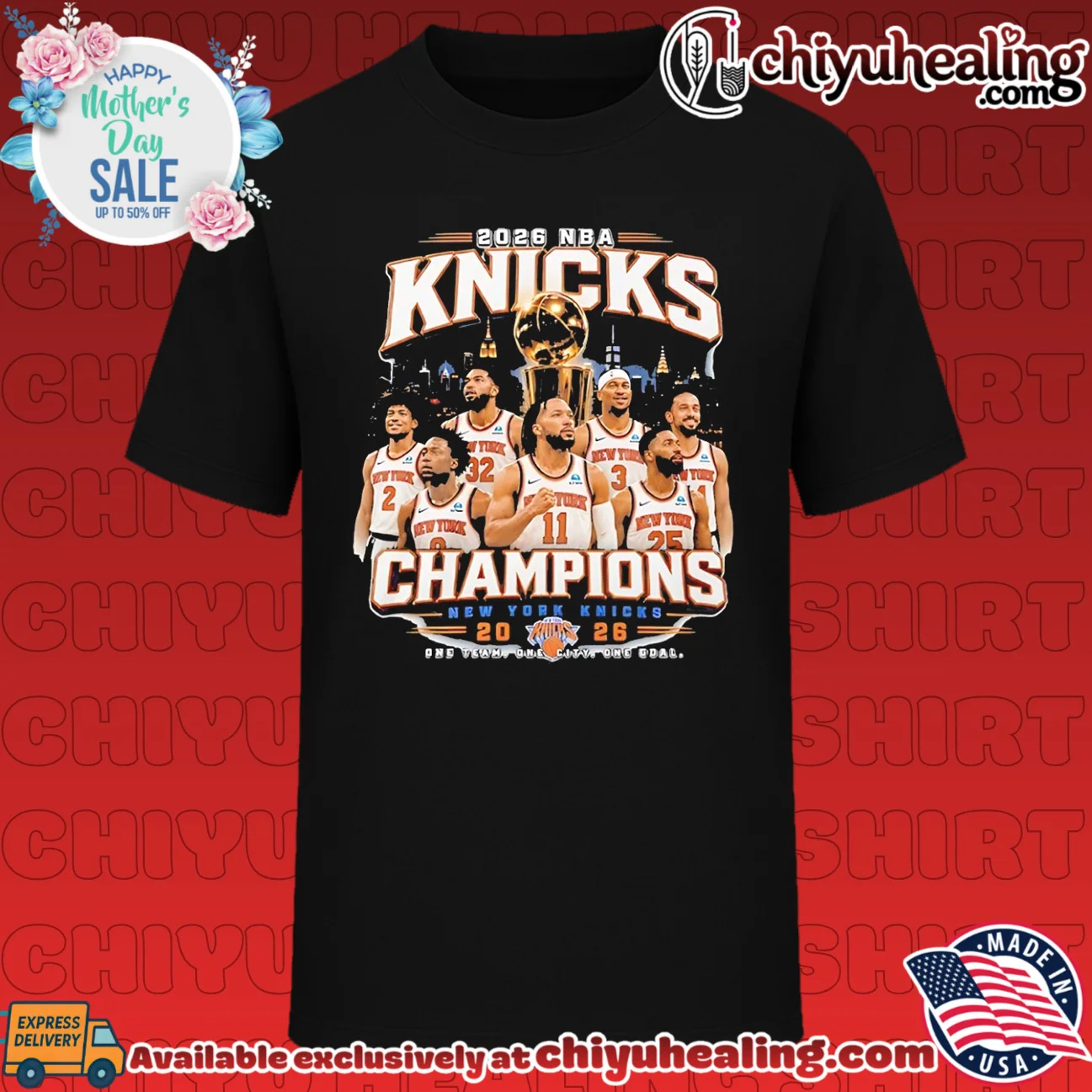 New York Knicks 2026 NBA Finals one time one city one goal