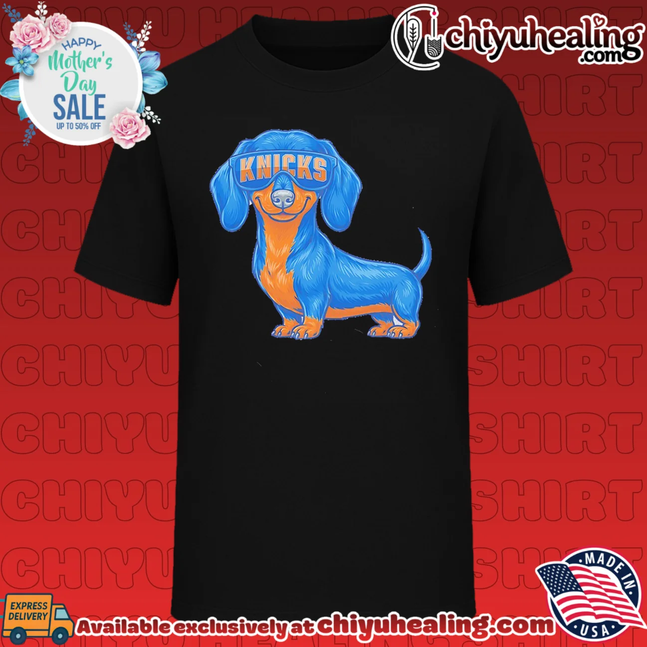 New York Knicks Dachshund Dog cartoon