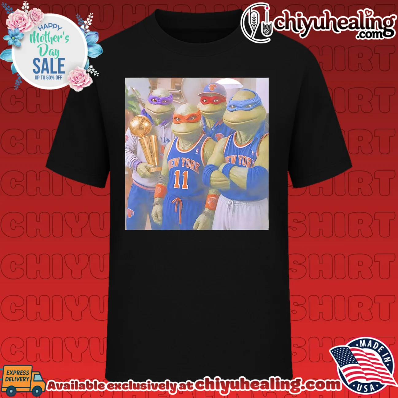 New York Knicks features Teenage Mutant Ninja Turtles illustration