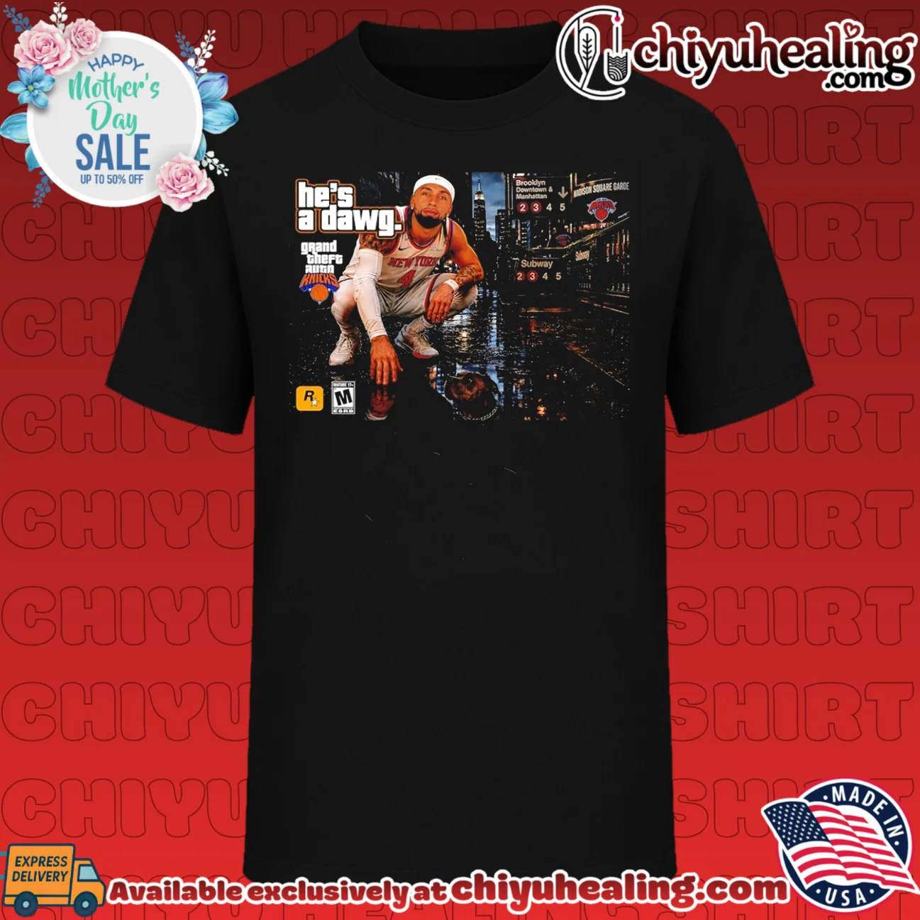 New York Knicks Jose Alvarado he's a dawg sitting pose city street background