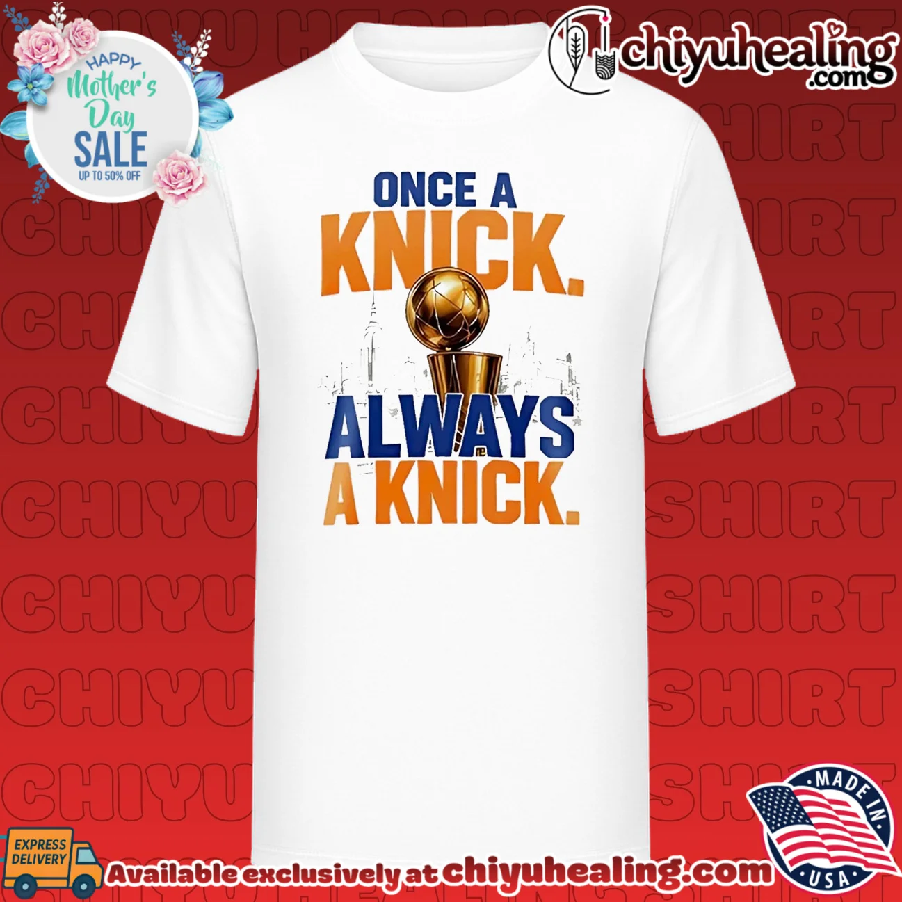 New York Knicks one a knick always a knick skyline