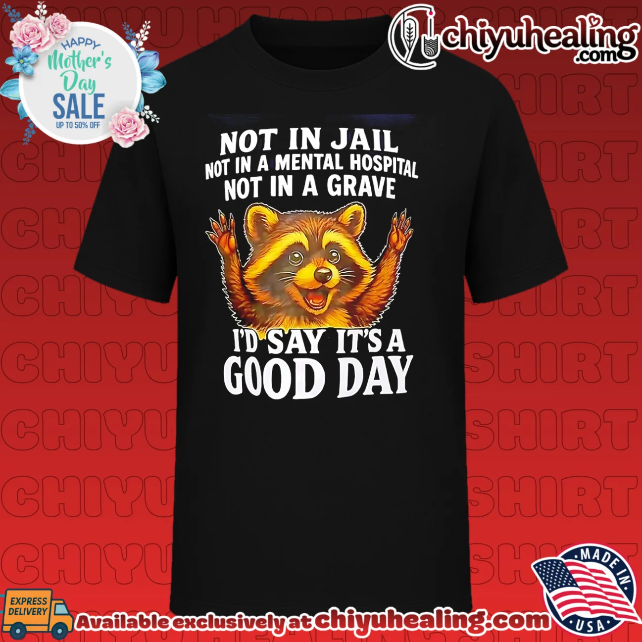 Not in jail not in a mental hospital not in a grave cartoon racoon
