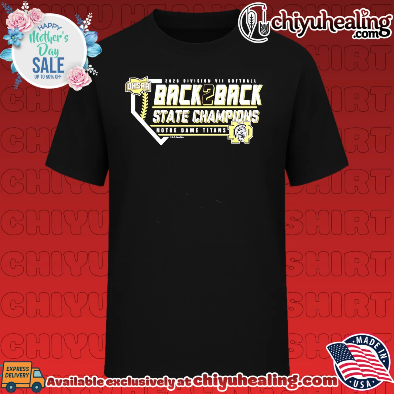 Notre Dame Titans 2026 OHSAA Softball D7 Back2Back State Champions logo