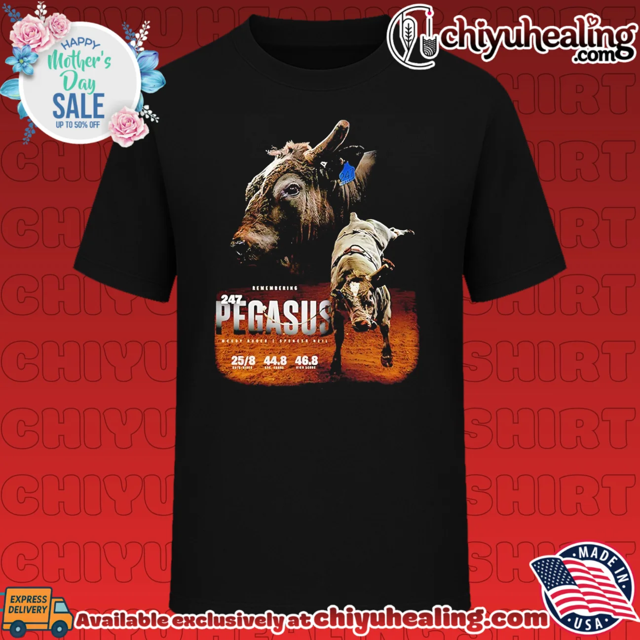 PBR Remembering Pegasus graphic