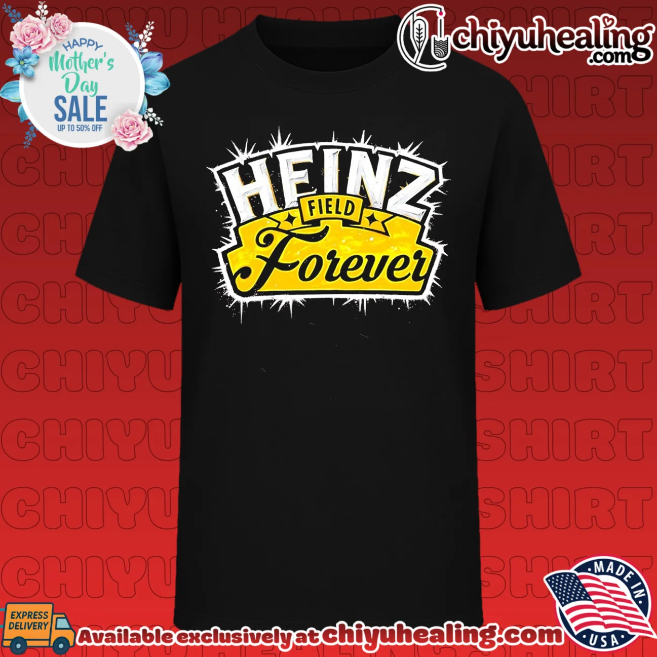 Pittsburgh Steelers Heinz Field Forever