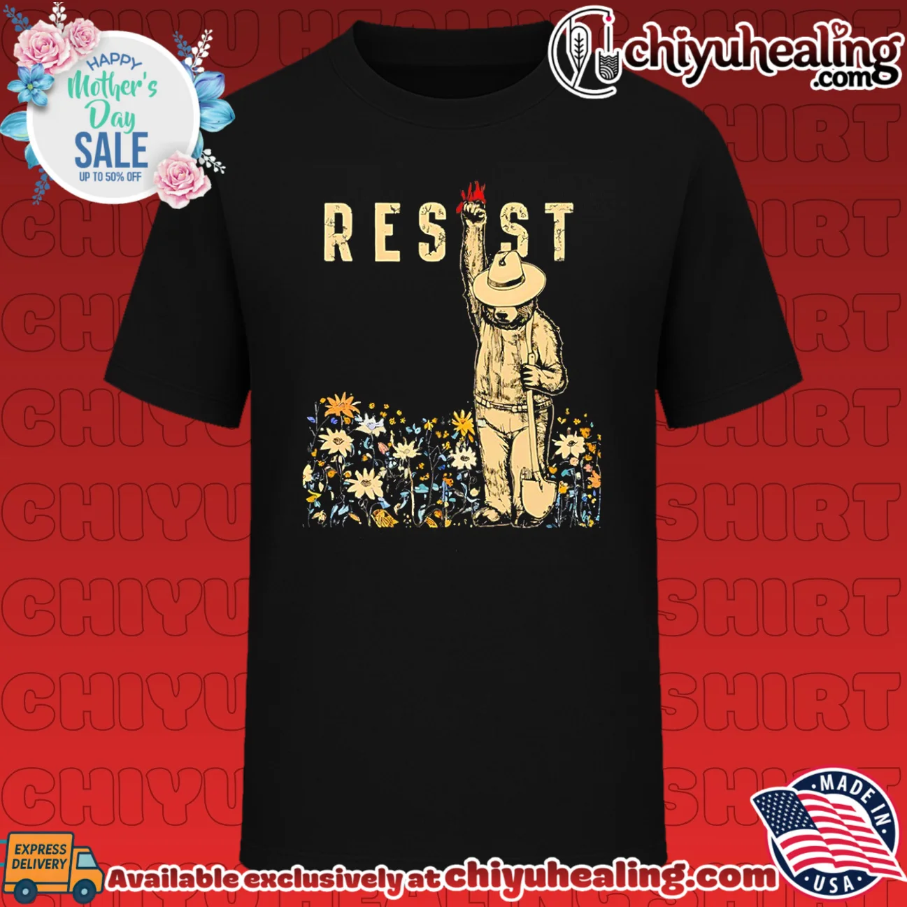 Smokey Bear resist vintage