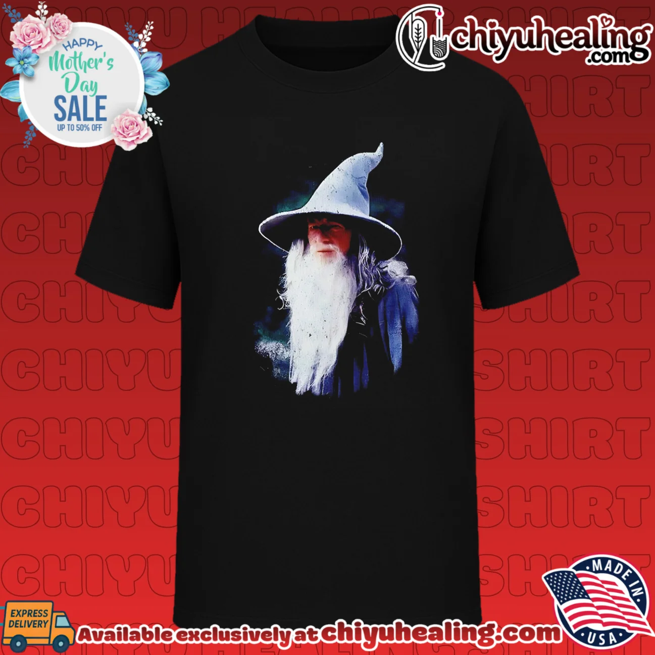 The Lord of the Rings Gandalf the Grey portrait