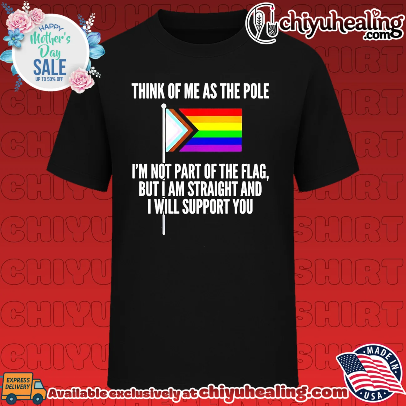 Think of me as the pole I'm not part of the flag but I am straight and I will support you shirt