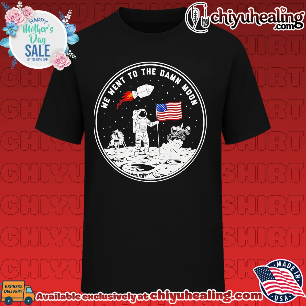 We Went To The Damn Moon Placing The American Flag On The Moon