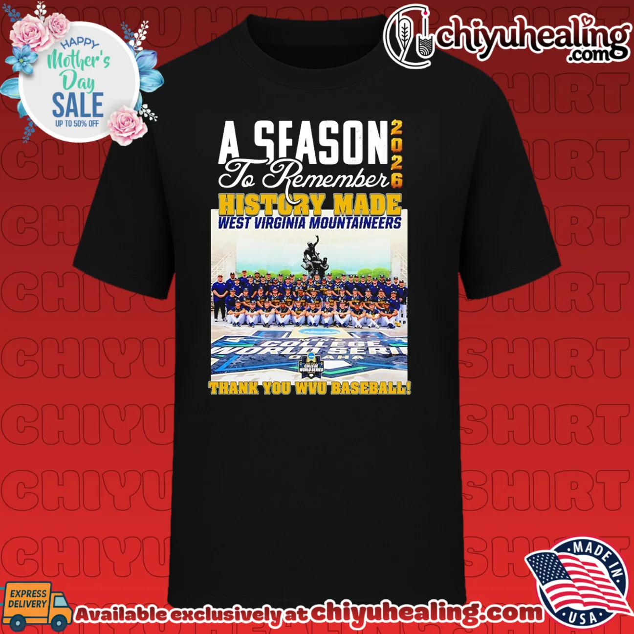 West Virginia Mountaineers 2026 A season to remember history made thank you WVU baseball