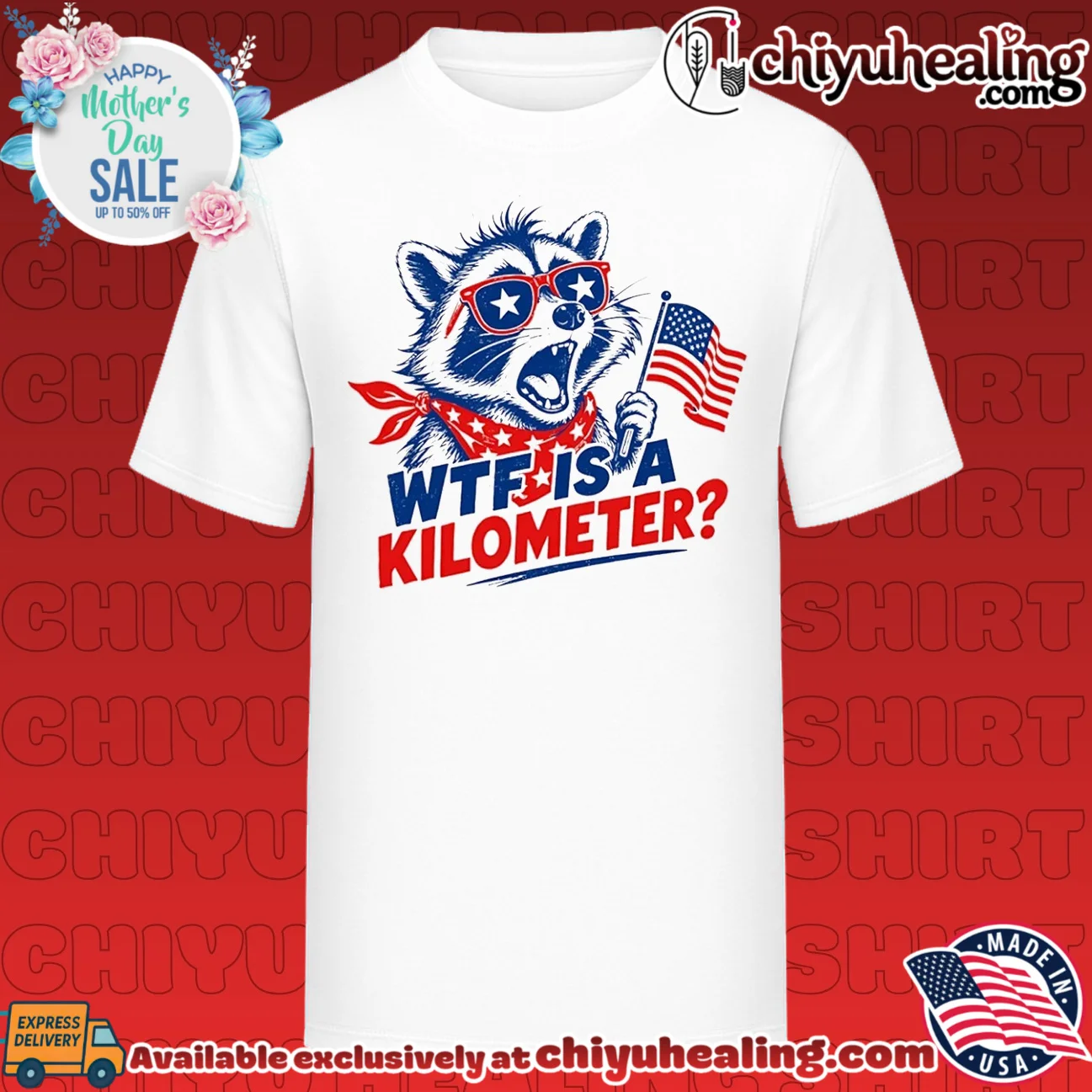 WTF Is a Kilometer 4th of July Raccoon