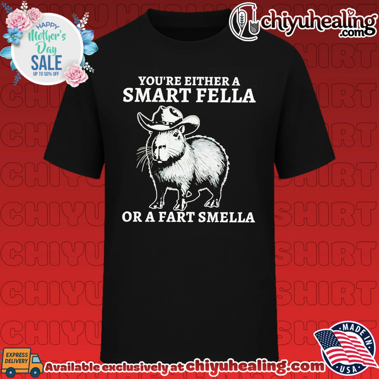 You're either a smart fella or a fart smella cartoon Capybara shirt & hoodie