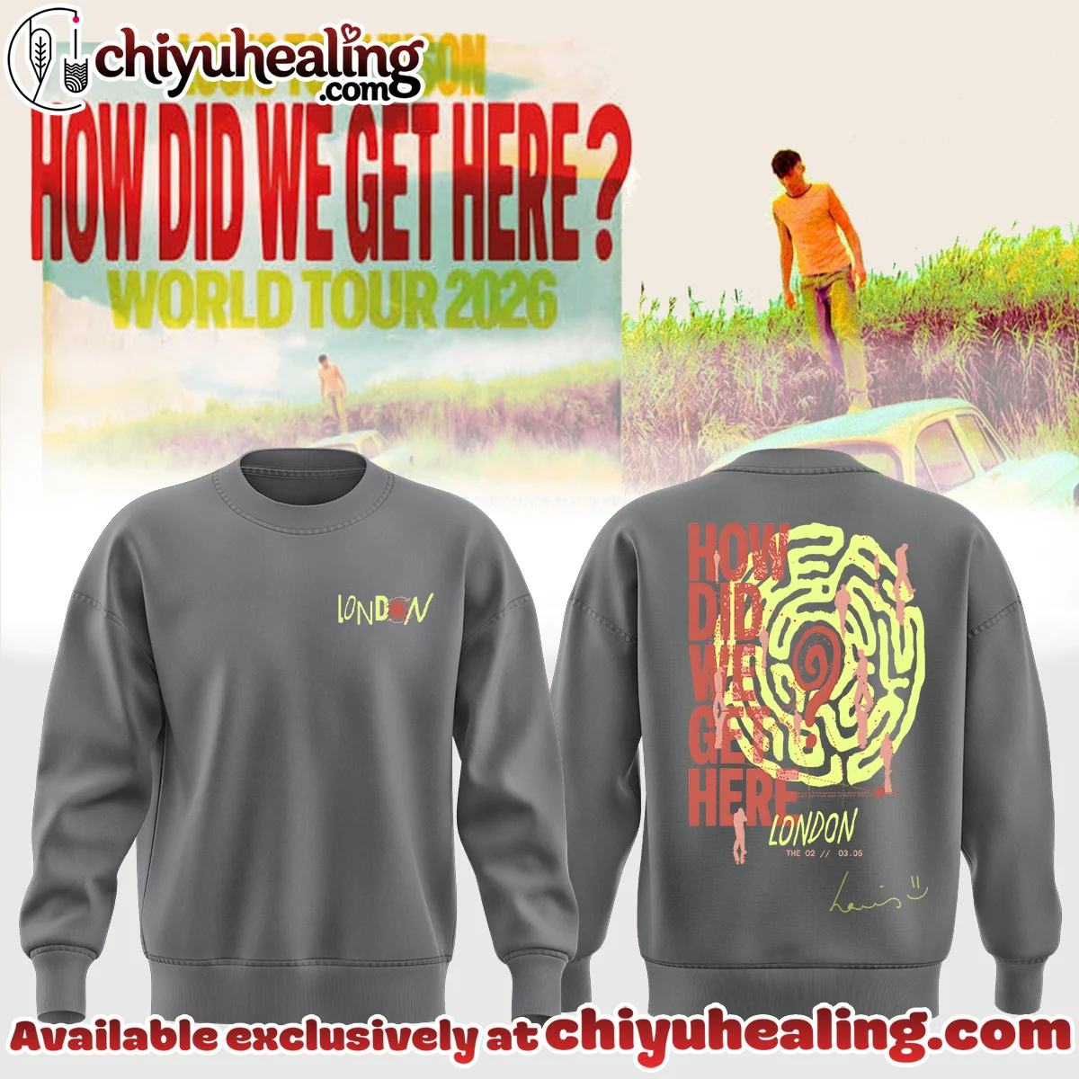 Louis Tomlinson How Did We Get Here Tour Shirt & Hoodie (Style 9)