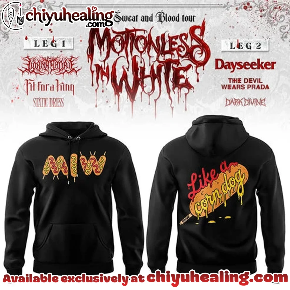 Summer Tour Saratoga Springs NY Shirt & Hoodie (Release 4)