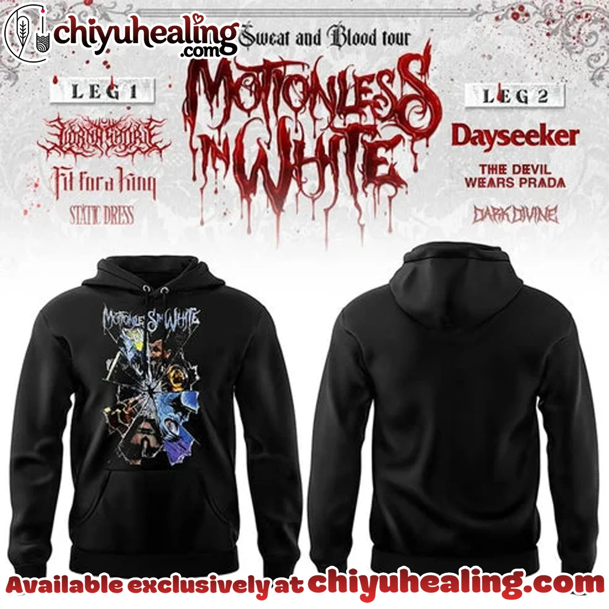 Summer Tour Saratoga Springs NY Shirt & Hoodie - Series 13