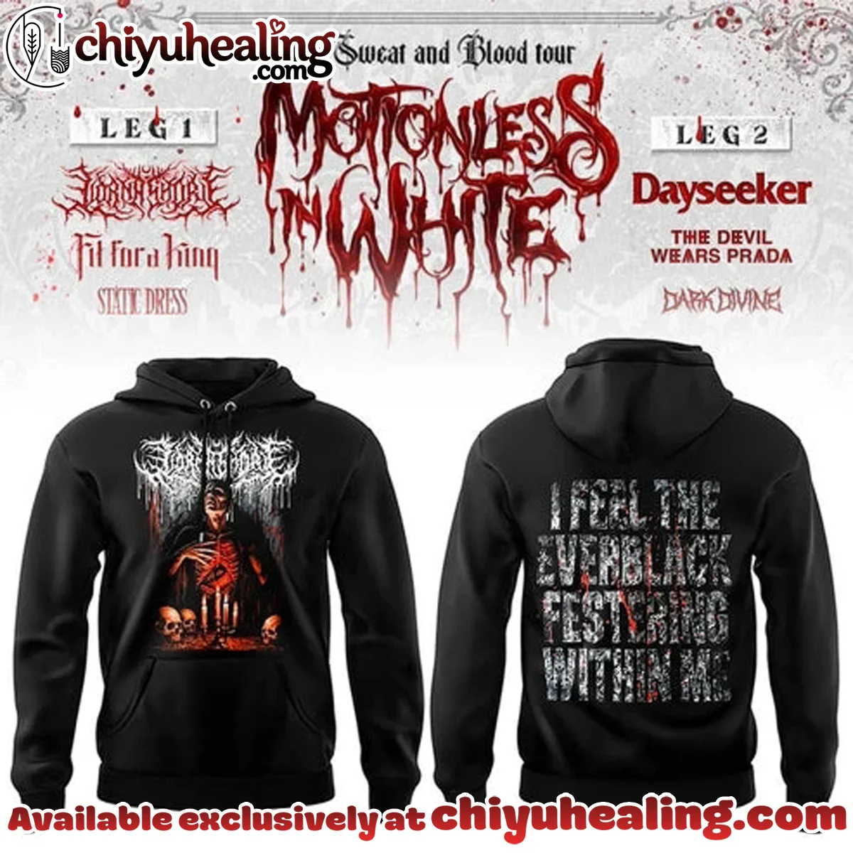 Summer Tour Saratoga Springs NY Shirt & Hoodie (Style 12)