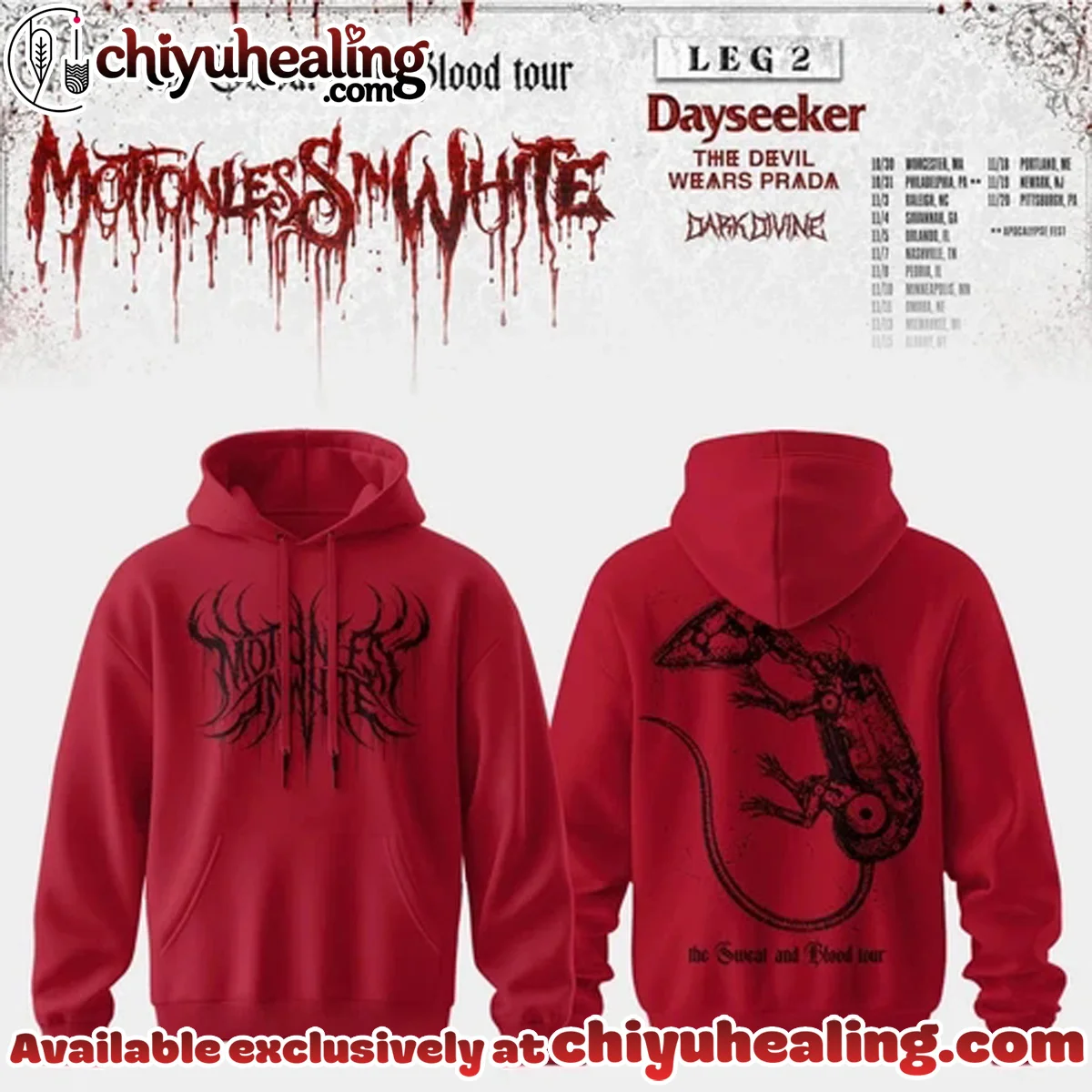 Summer Tour Saratoga Springs NY Shirt & Hoodie (Style 6)